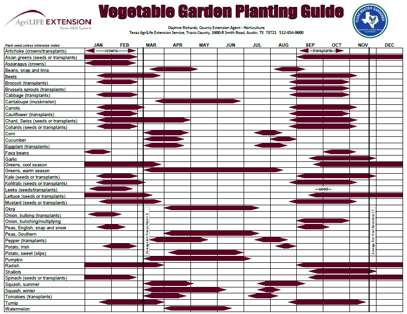 Houston texas vegetable gardening calendar, difference between organic